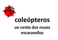 Coleópteros
